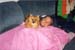 BRIAN POKEY BLANKET