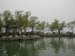 CHINA 066