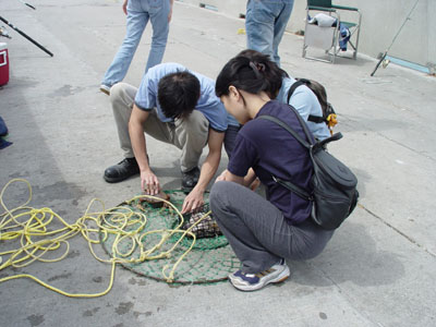 CRABBING 01