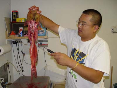 CATFISH CUT 06