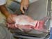 CATFISH CUT 03