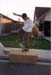 SKATING PICTURE 19