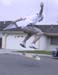 SKATING PICTURE 30