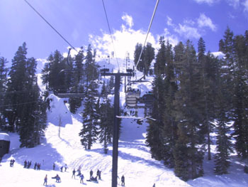 SNOW 08