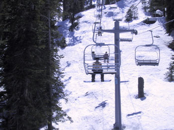 SNOW 31
