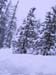 SNOW 12