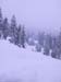 SNOW 46