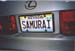 VEGAS LEXUS SAMURAI