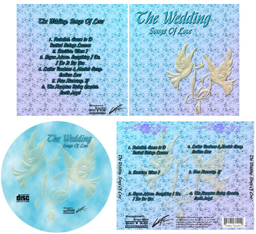 Brian Distortion Wedding CD 