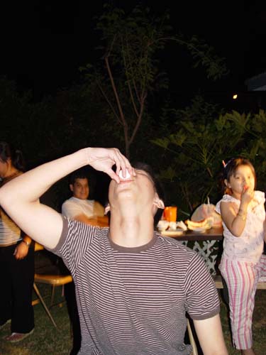 PAO BBQ 16