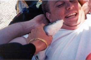 BRIAN SHARK FACE