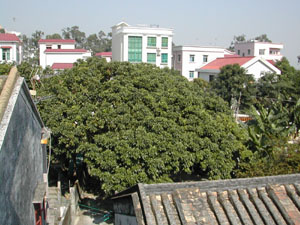 CHINA 053