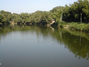 CHINA 081
