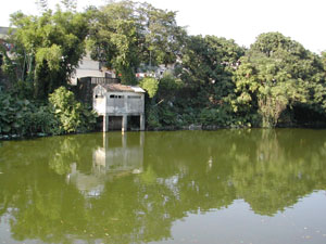 CHINA 084