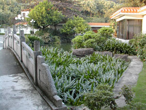 CHINA 096