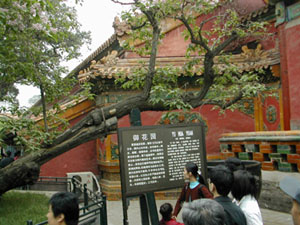 CHINA 044