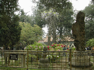 CHINA 047
