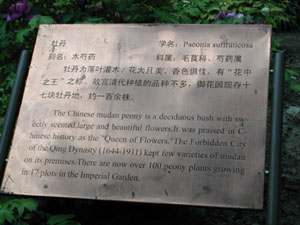 CHINA 049