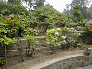 CHINA 063