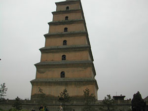 CHINA 220