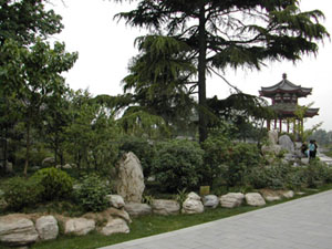 CHINA 221