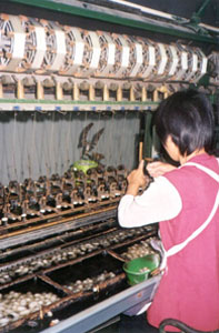 CHINA 544