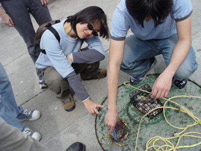 CRABBING 03