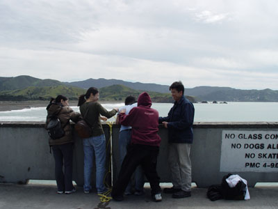 CRABBING 10