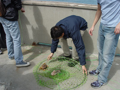 CRABBING 13