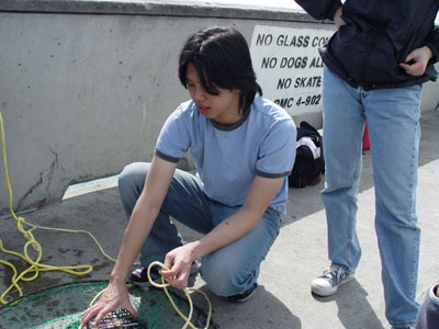 CRABBING 20