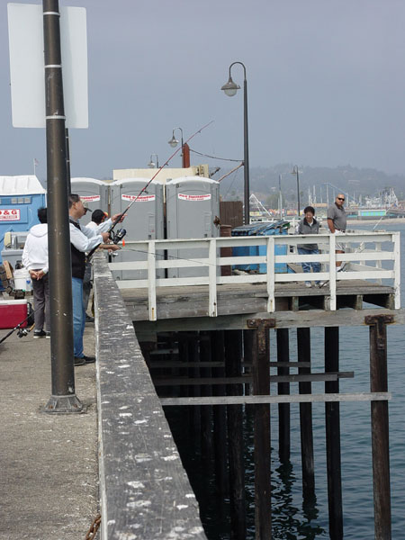 SANTA CRUZ 01