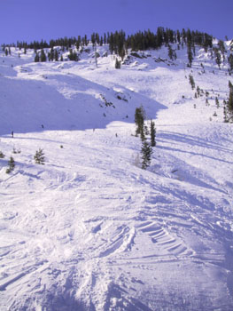SNOW 06