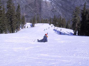 SNOW 11