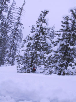 SNOW 12