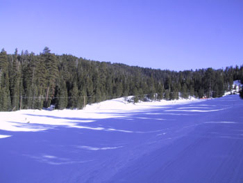 SNOW 28