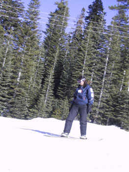 SNOW 40