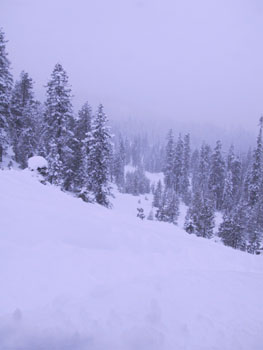 SNOW 46